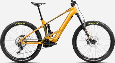 WILD H10 2025 - Large