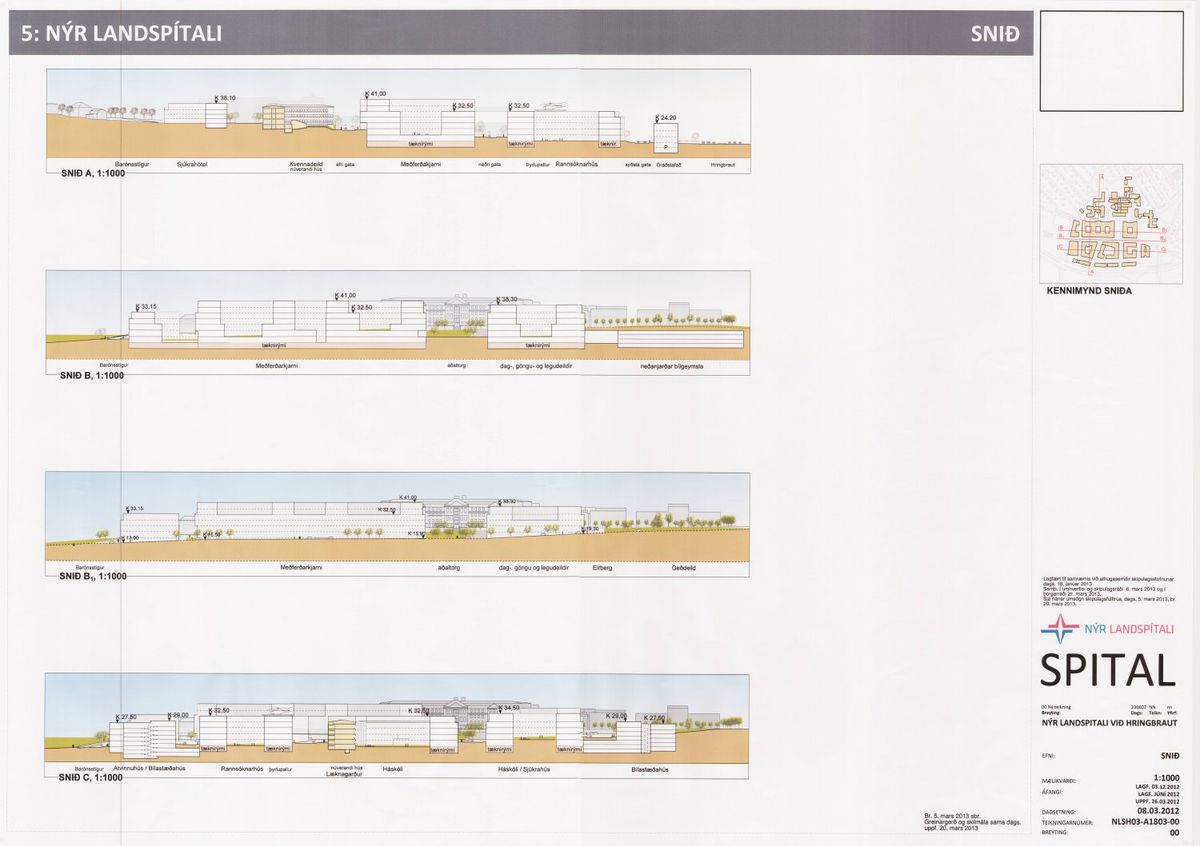 Skipulagsuppdráttur